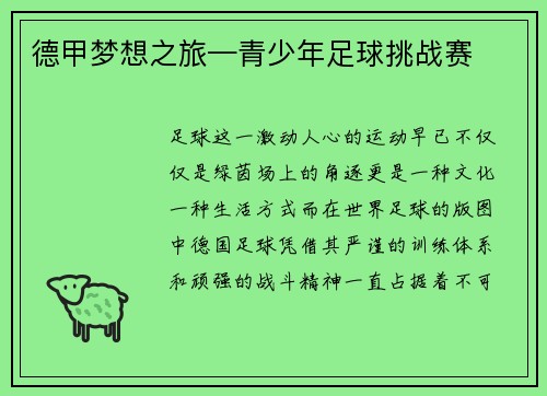 德甲梦想之旅—青少年足球挑战赛