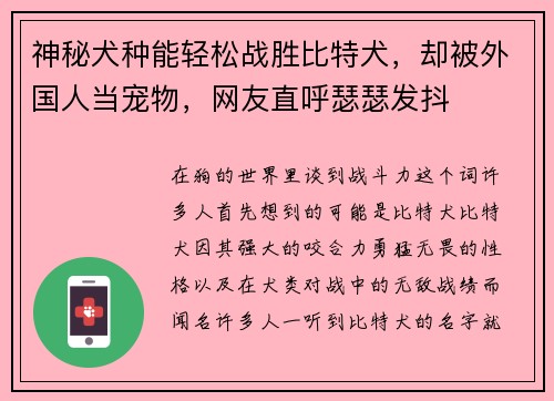 神秘犬种能轻松战胜比特犬，却被外国人当宠物，网友直呼瑟瑟发抖