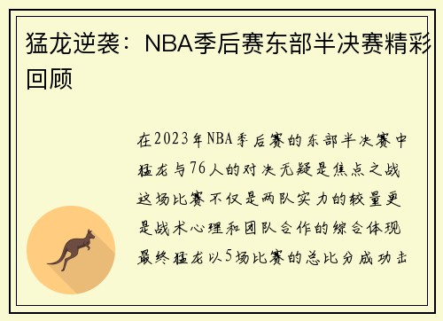 猛龙逆袭：NBA季后赛东部半决赛精彩回顾