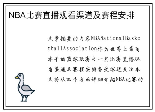 NBA比赛直播观看渠道及赛程安排